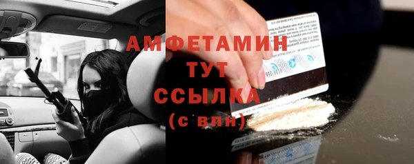 ПСИЛОЦИБИНОВЫЕ ГРИБЫ Ельня