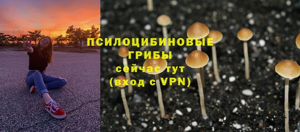винт Елизово