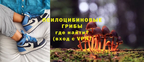 кокаин колумбия Дмитриев