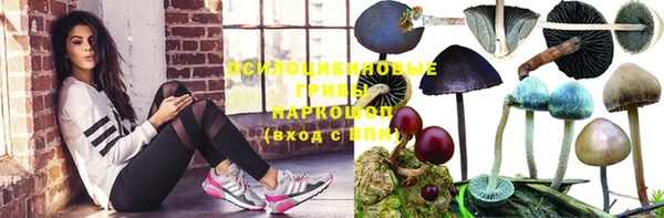 таблы Новозыбков