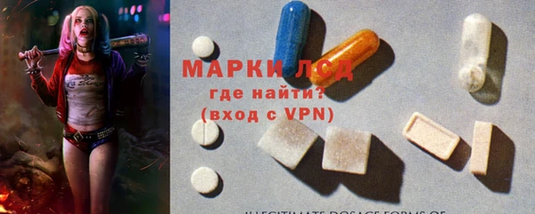 ПСИЛОЦИБИНОВЫЕ ГРИБЫ Ельня