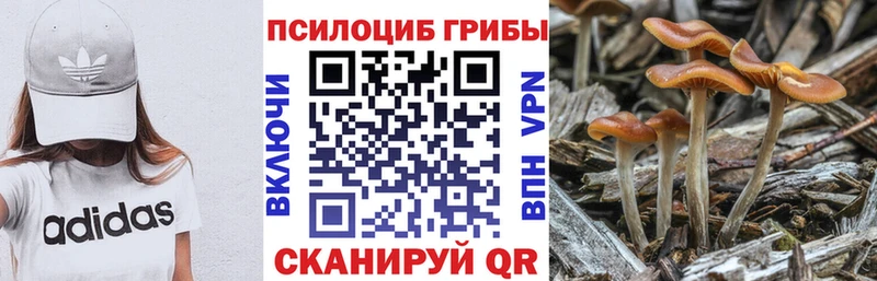 Галлюциногенные грибы Cubensis  купить   Мирный 